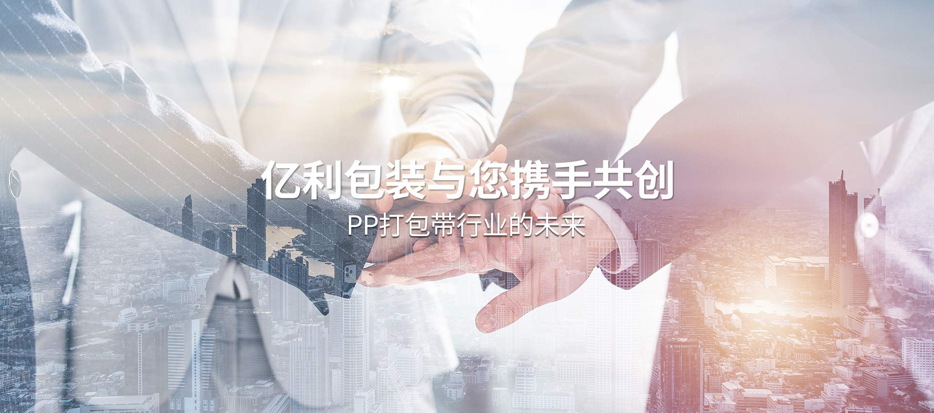 山東向陽電子科技有限公司